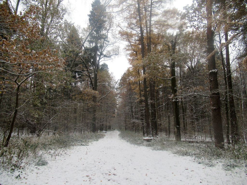 дорога в зиму началась в октябре...