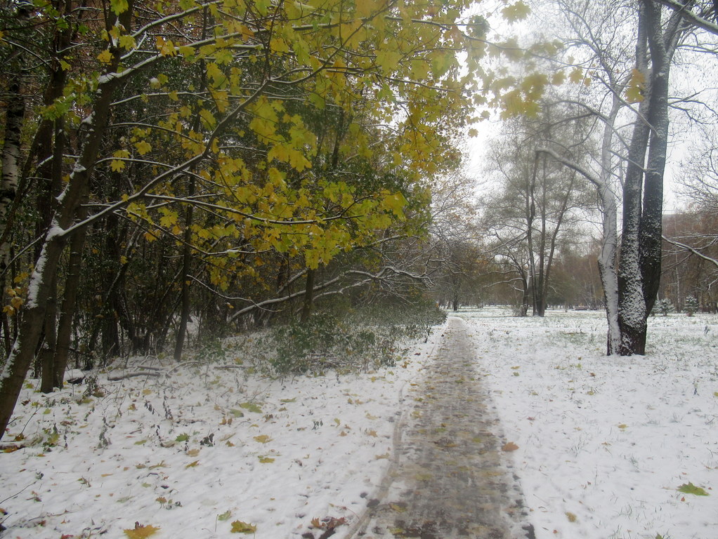 первый снег