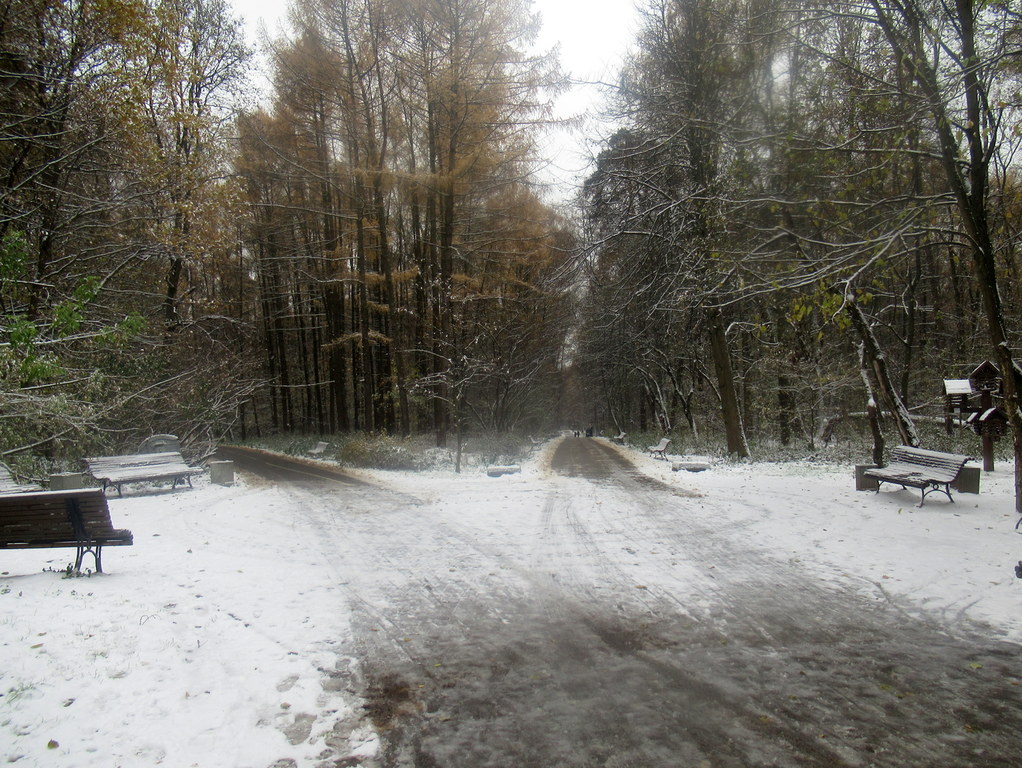 вход с 11 Парковой