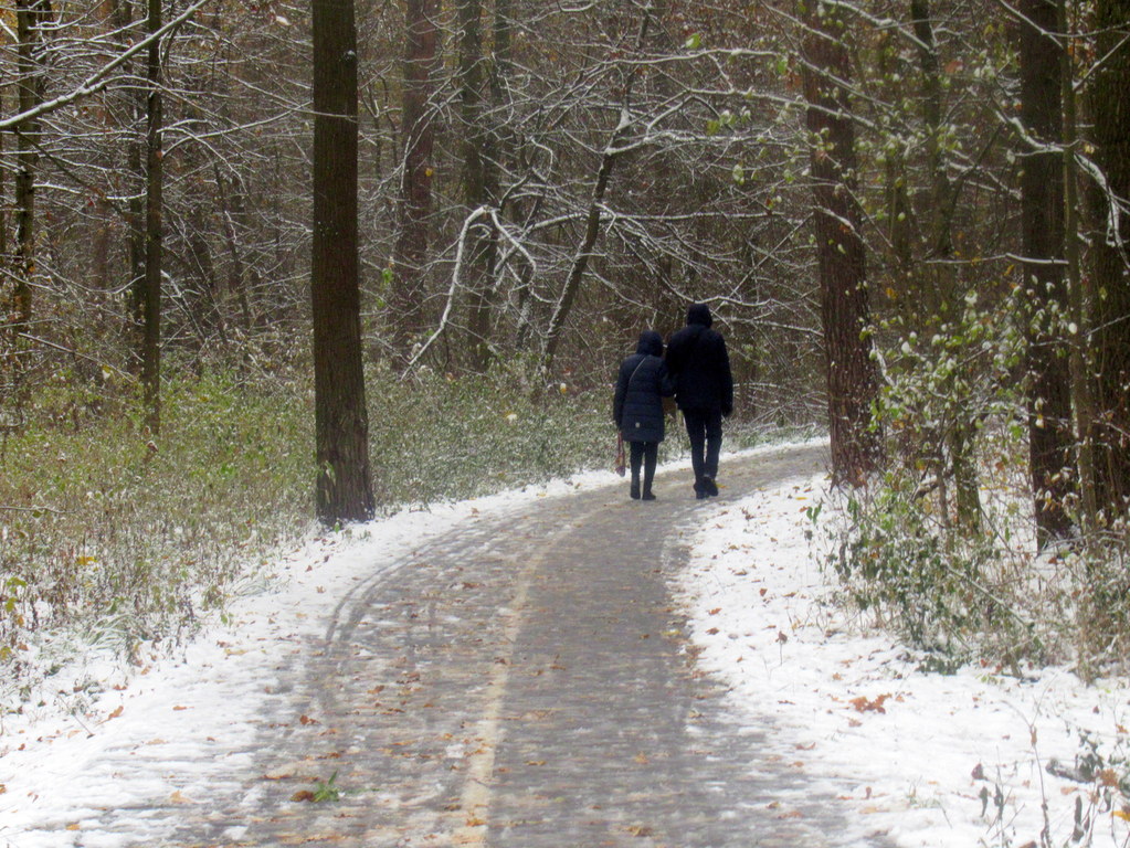 долгая дорога в зиму