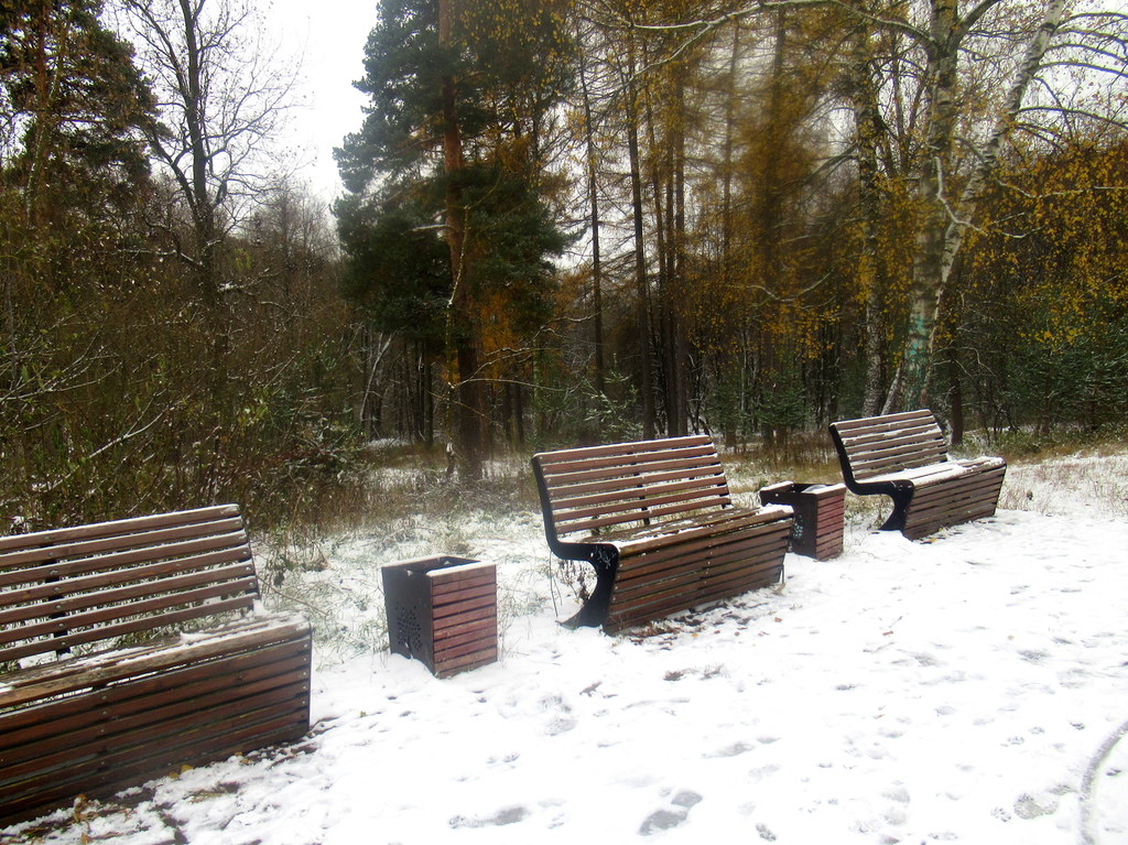 пейзаж октября