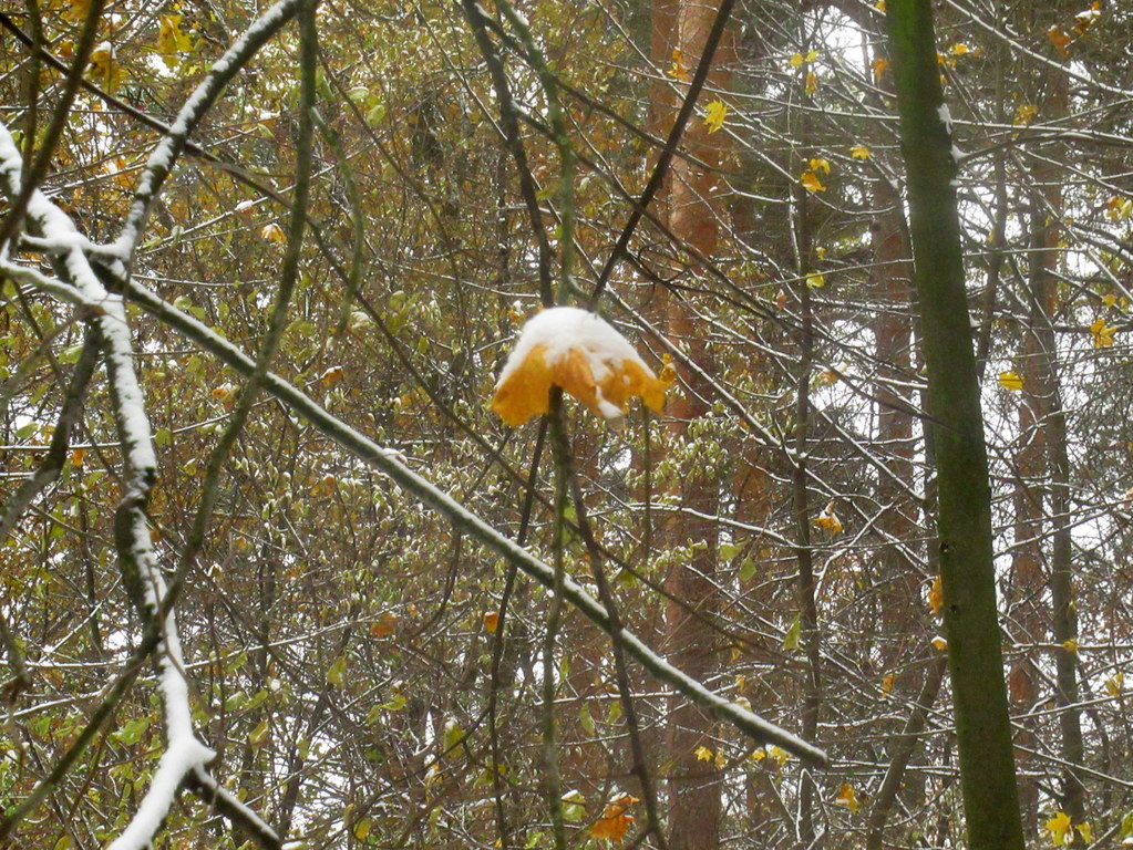 еще растает! 