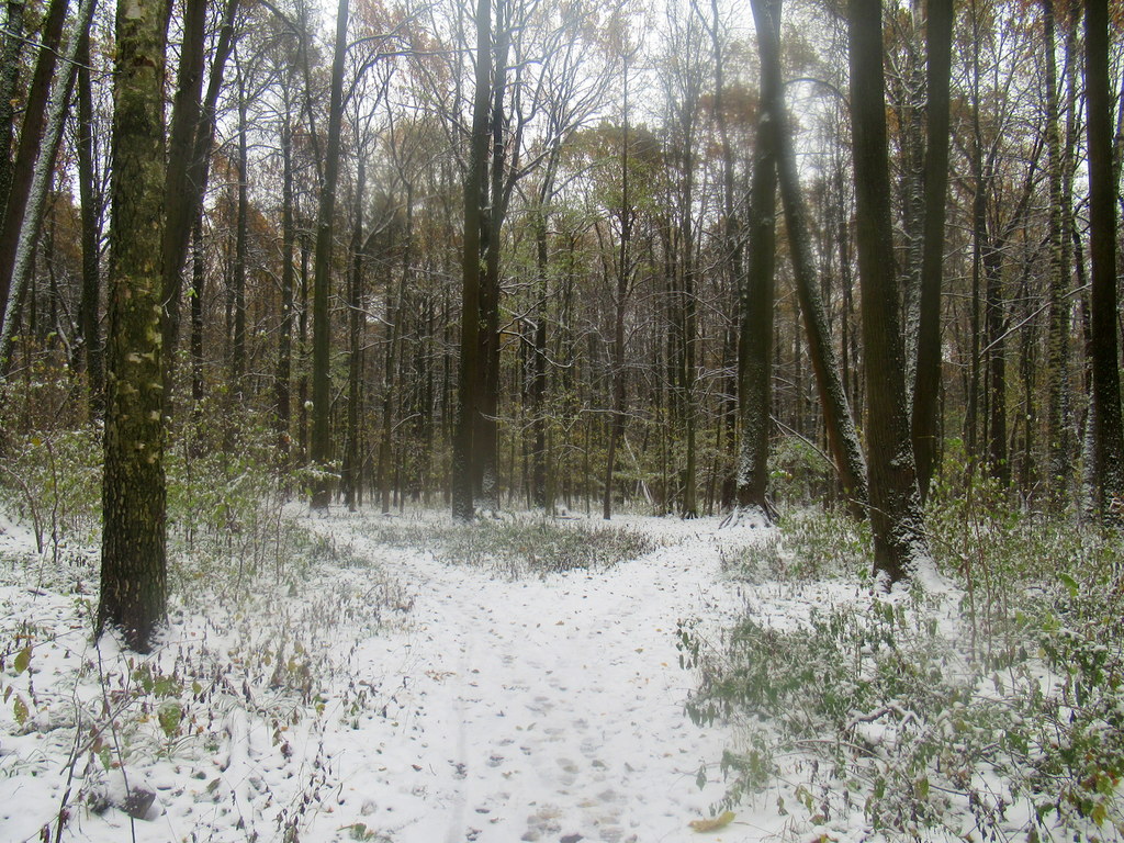 пейзажи октября