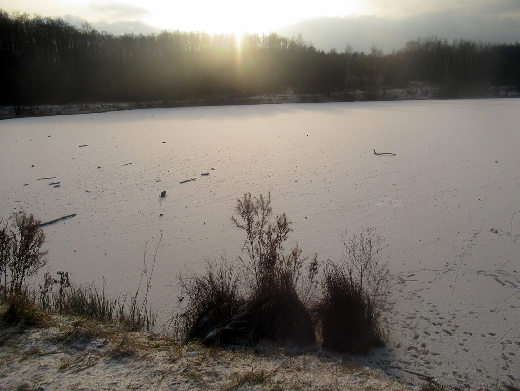 Лебедянский пруд во льду