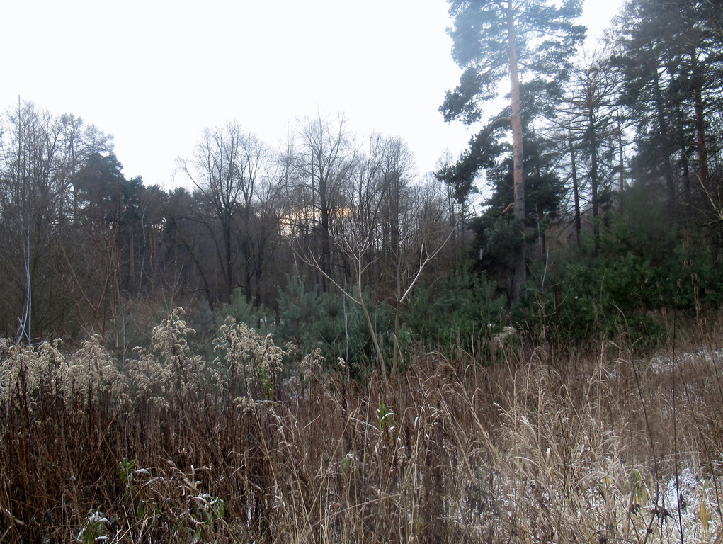 19 ноября 2023