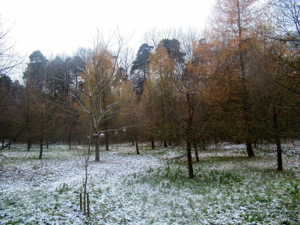 19 ноября 2023