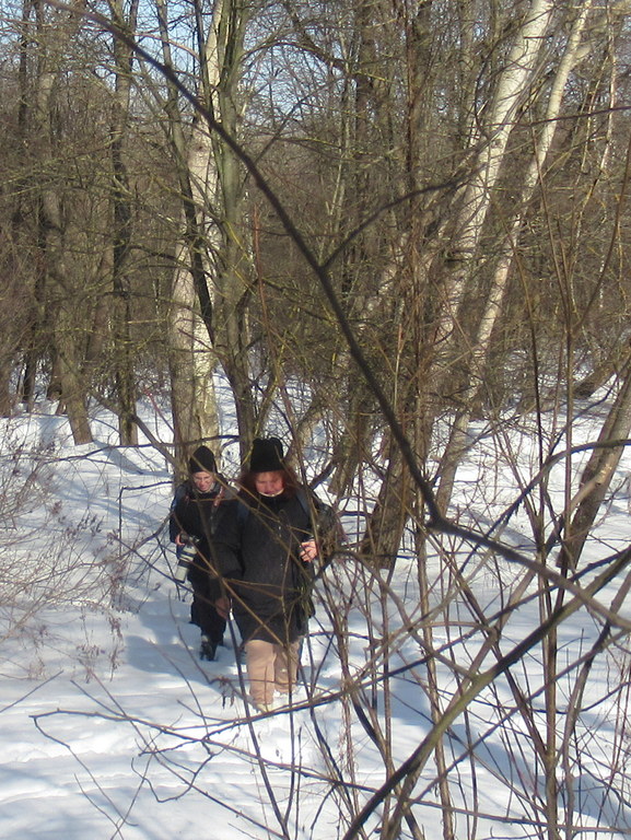 они охотились за лаской)