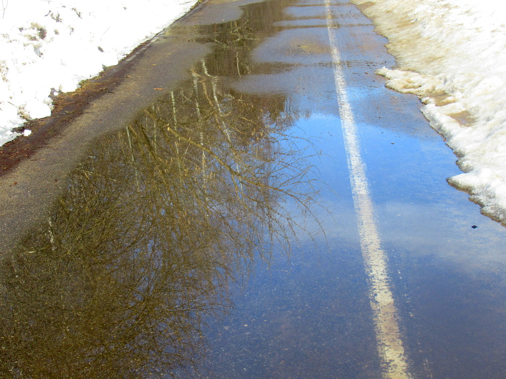 21  марта 2024