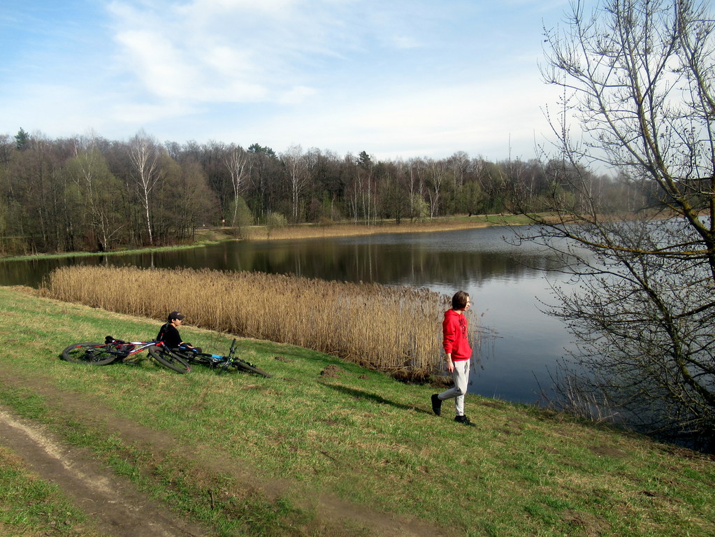 Лебедянский пруд