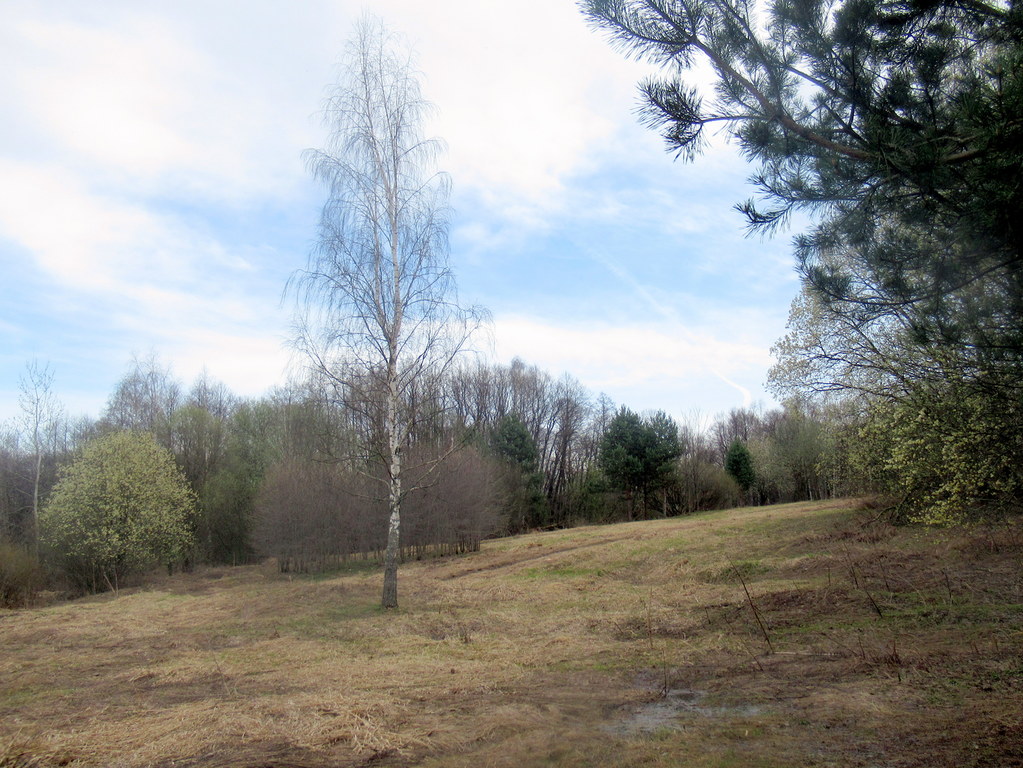 апрельский пригорок