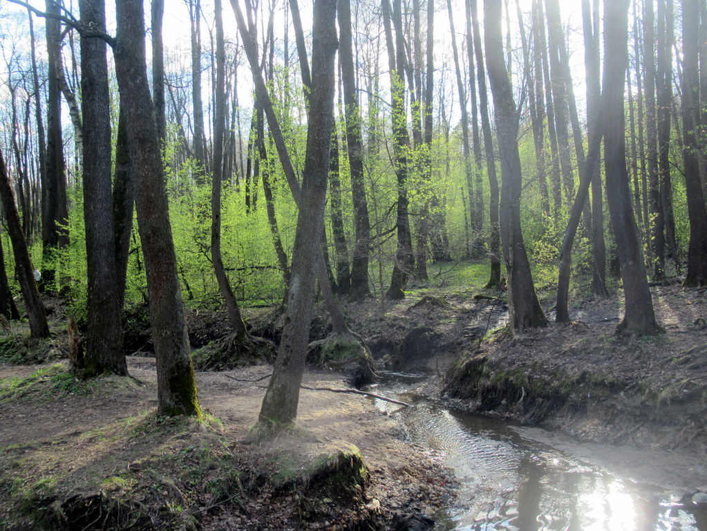 апрель на ручье