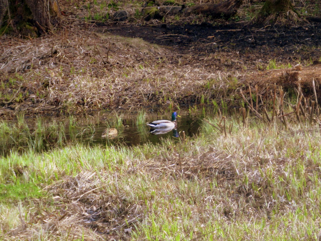 в укромном уголке