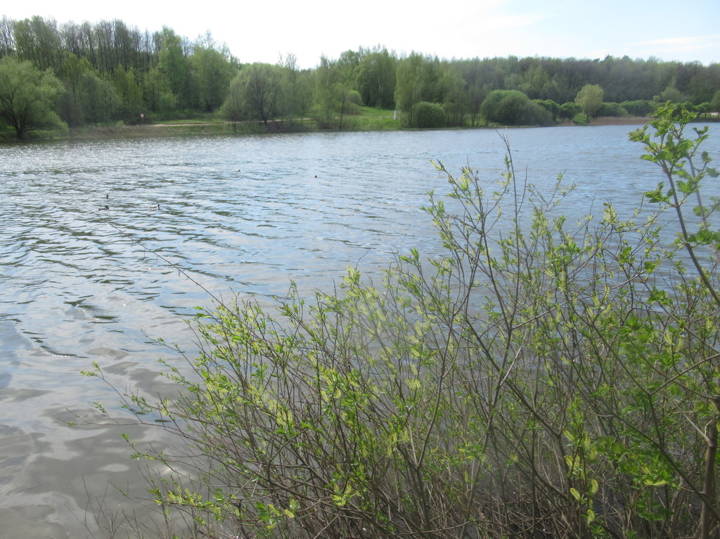 Лебедянский пруд