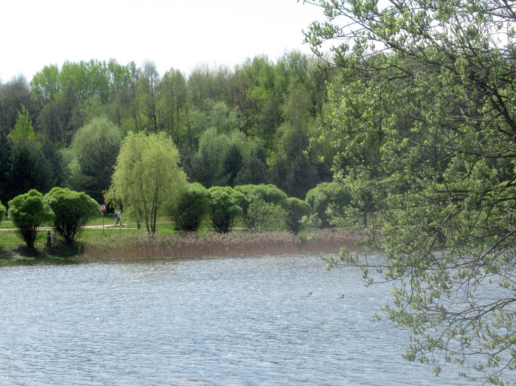 конец апреля 2024