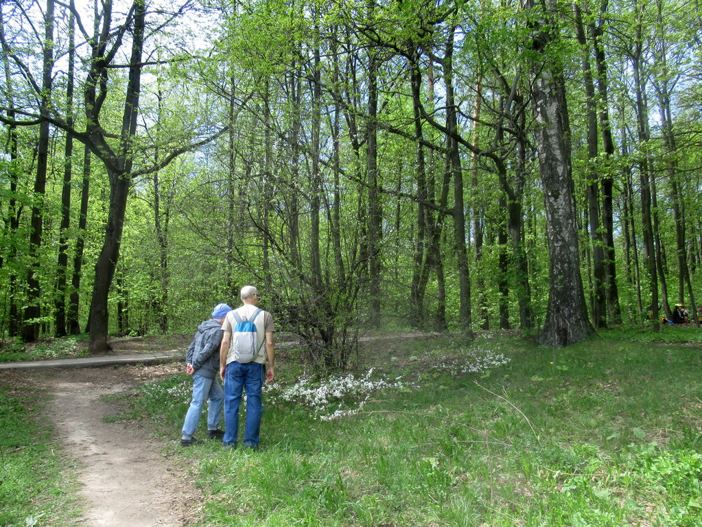 что это цветет) 