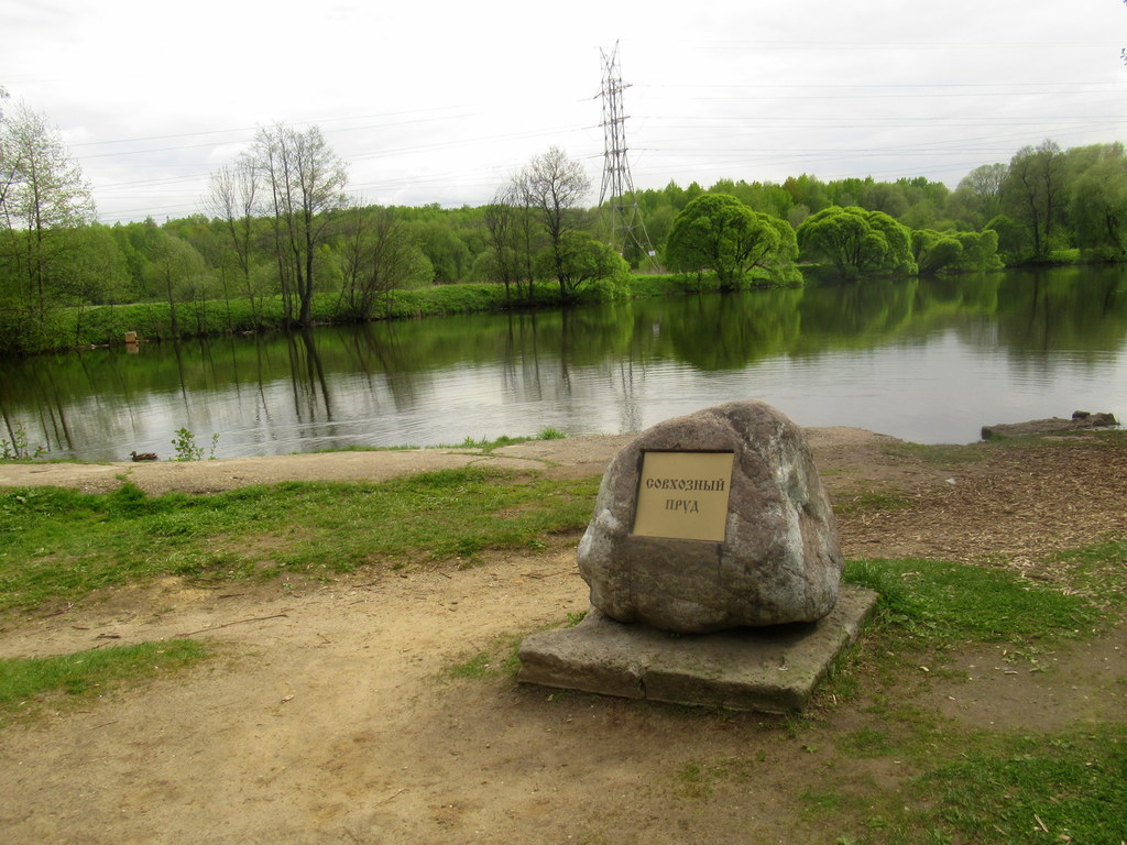 Совхозный пруд в лесопарке Измайловском