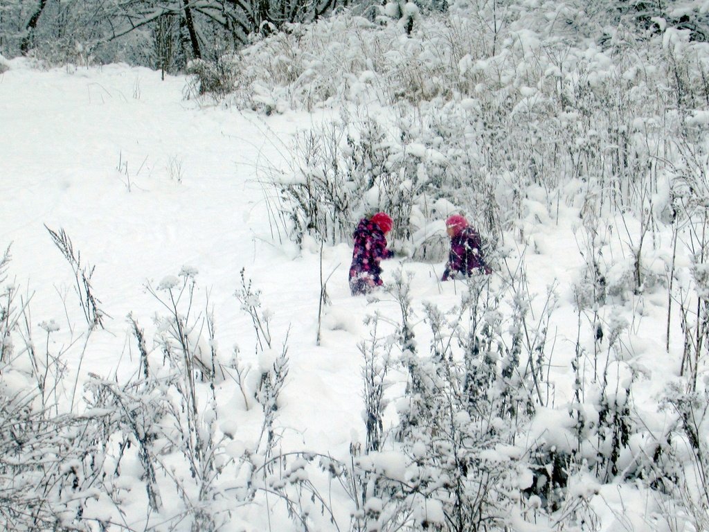 игры в  заснеженном лесу