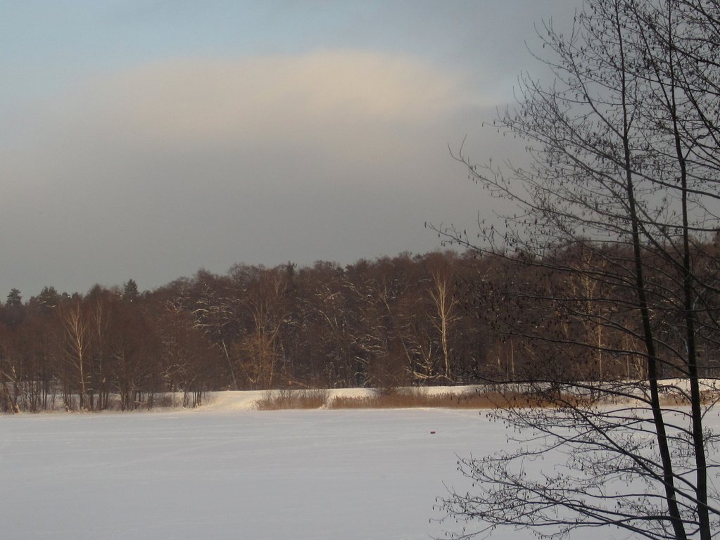 Зима на Лебедянском пруду