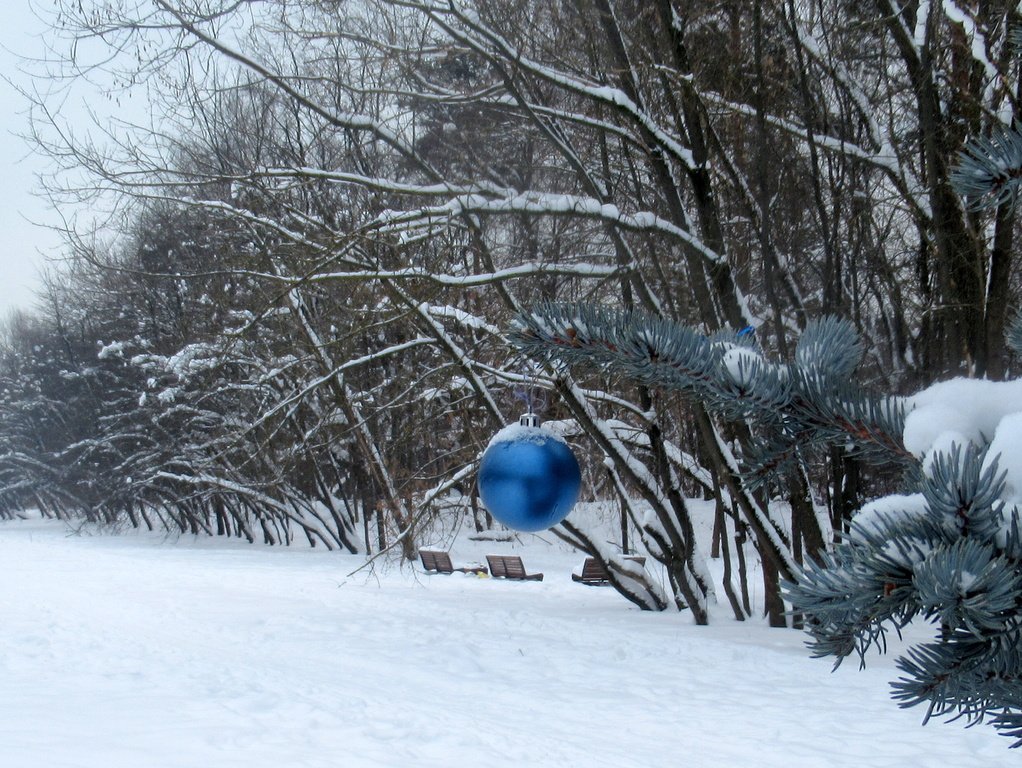 у леса на опушке