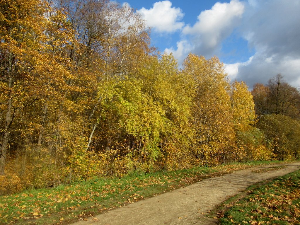 осенние платья осин