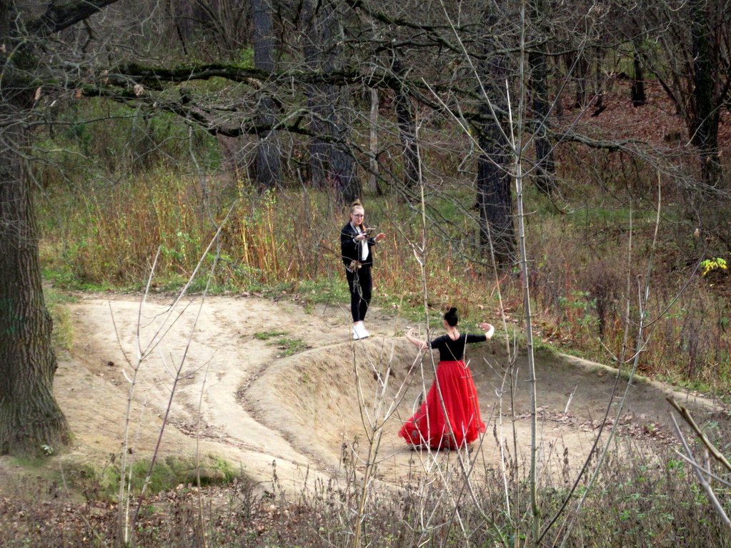 сюрпризы октябрьского леса