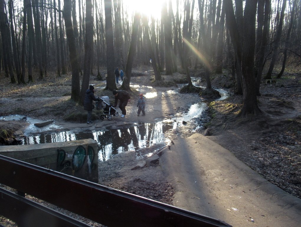 солнечный выходной на ручье