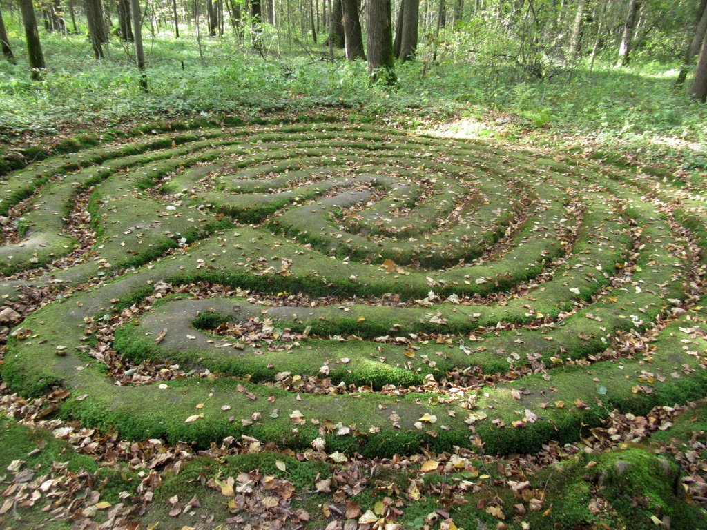 таинственный лабиринт в лесопарке