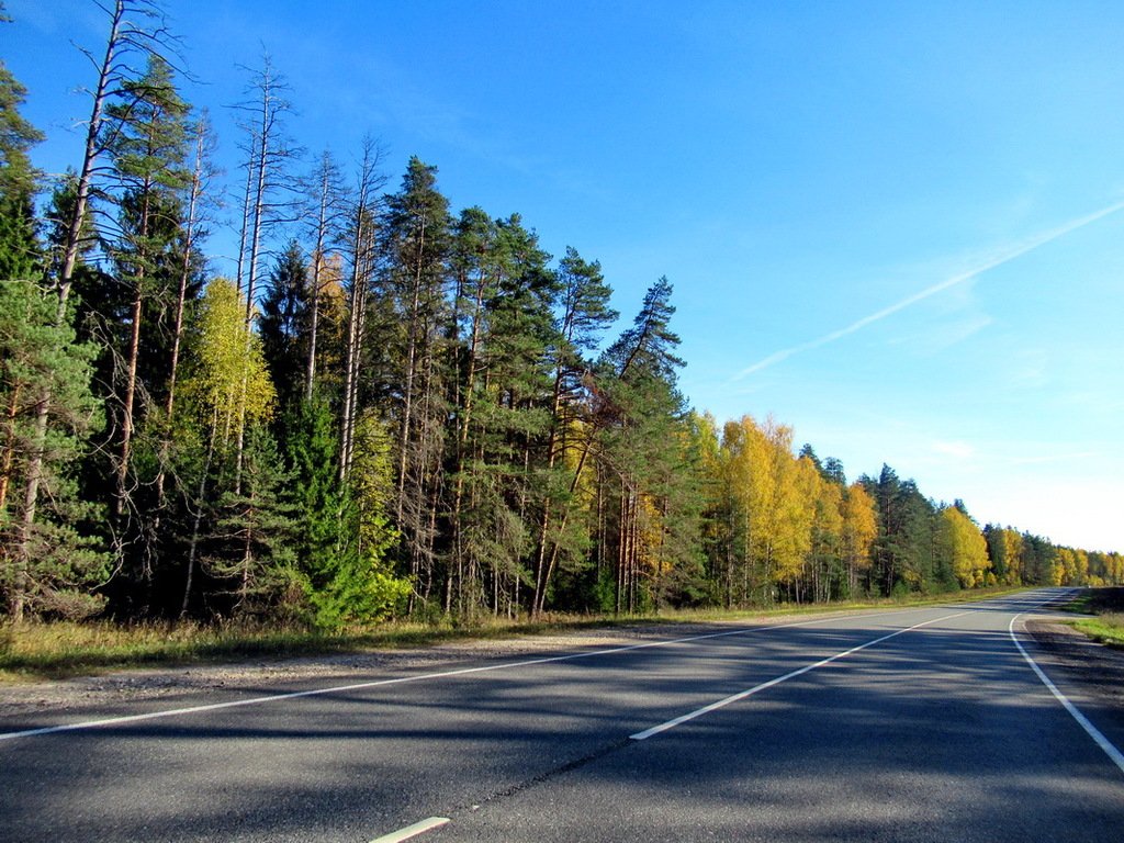 Песня дорога серою лентой