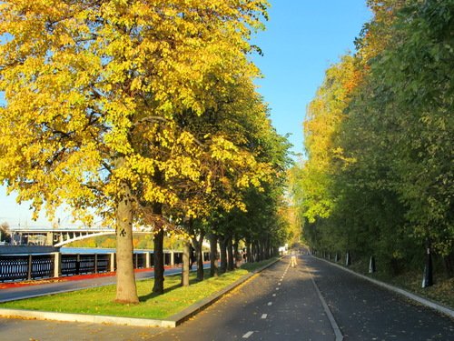 Златоосенняя перспектива