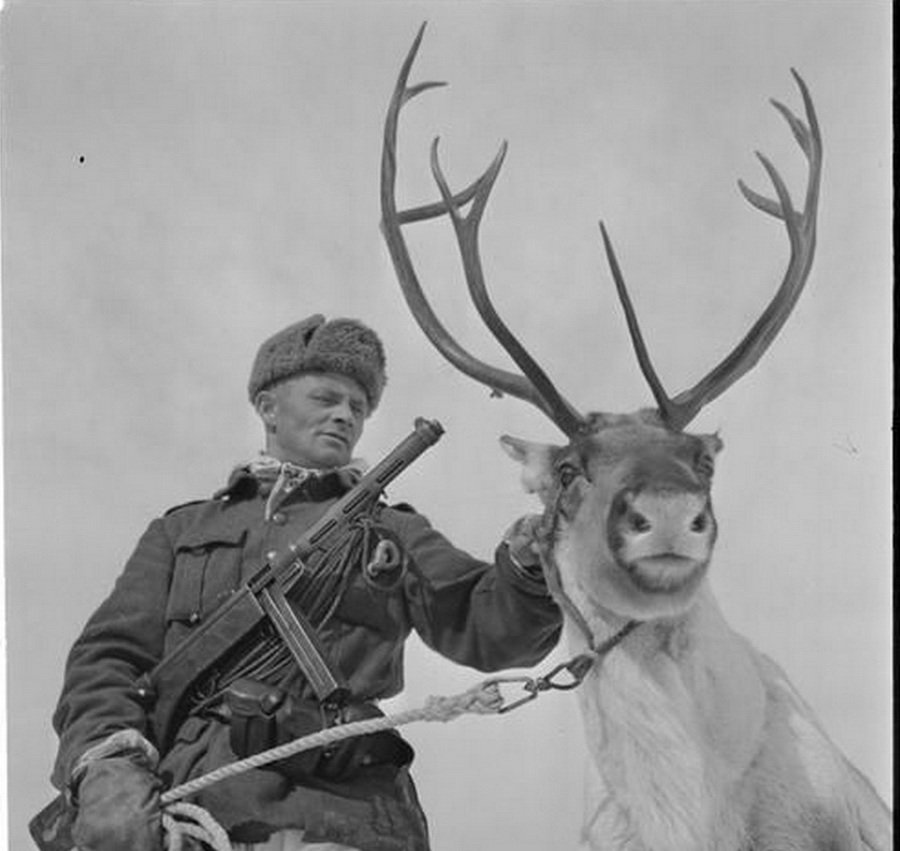 Фото лоси на войне 1941 1945