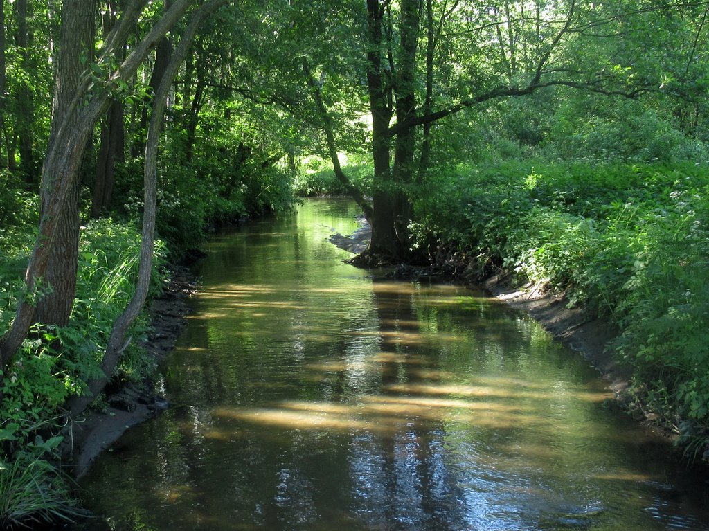 круглый год серебрится Серебрянка