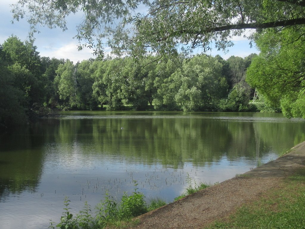 декоративные пруды