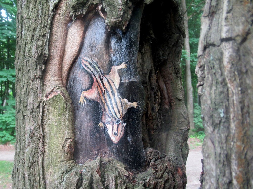 работы Жени Хлыниной