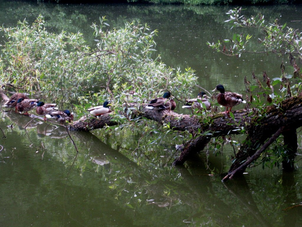 мужики) отдыхают