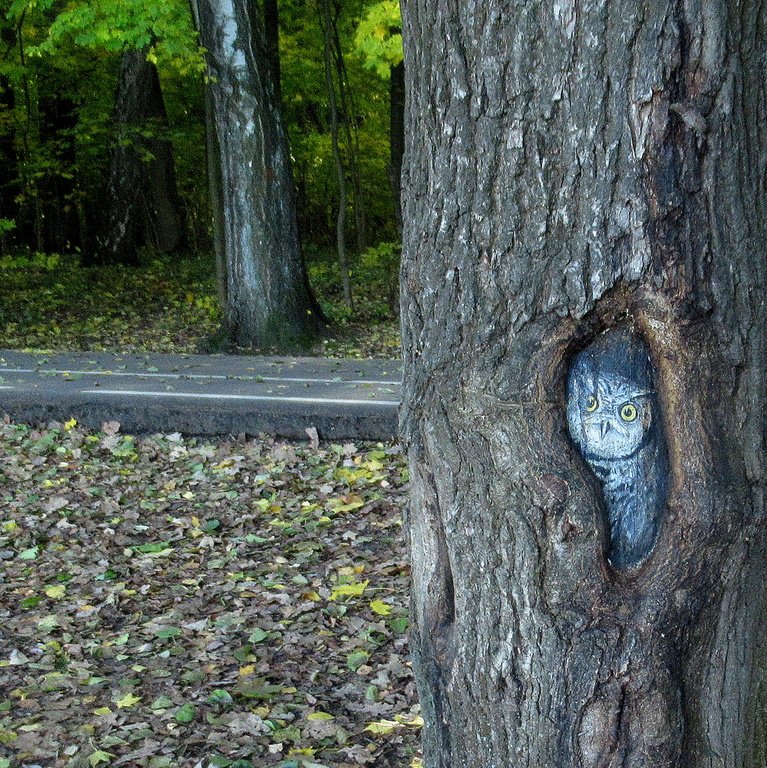 совушка в осени