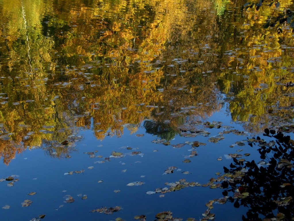 осень глубинная