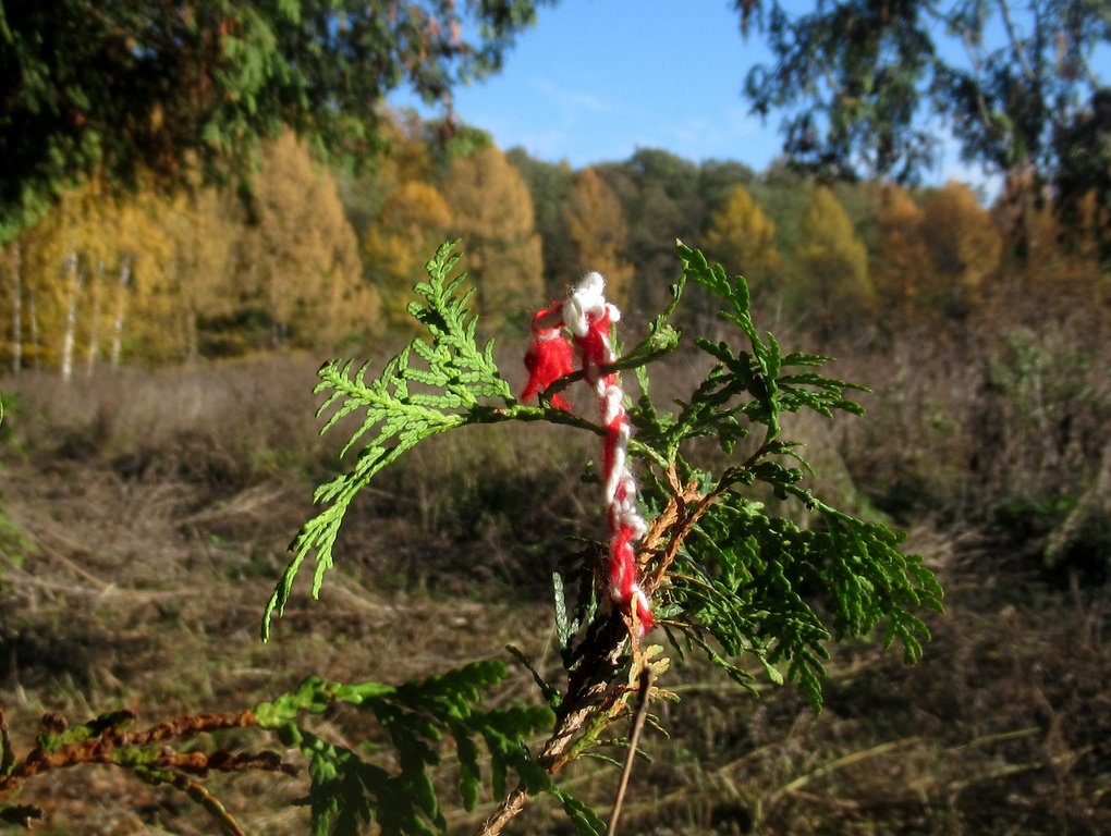 осенний узелок на счастье