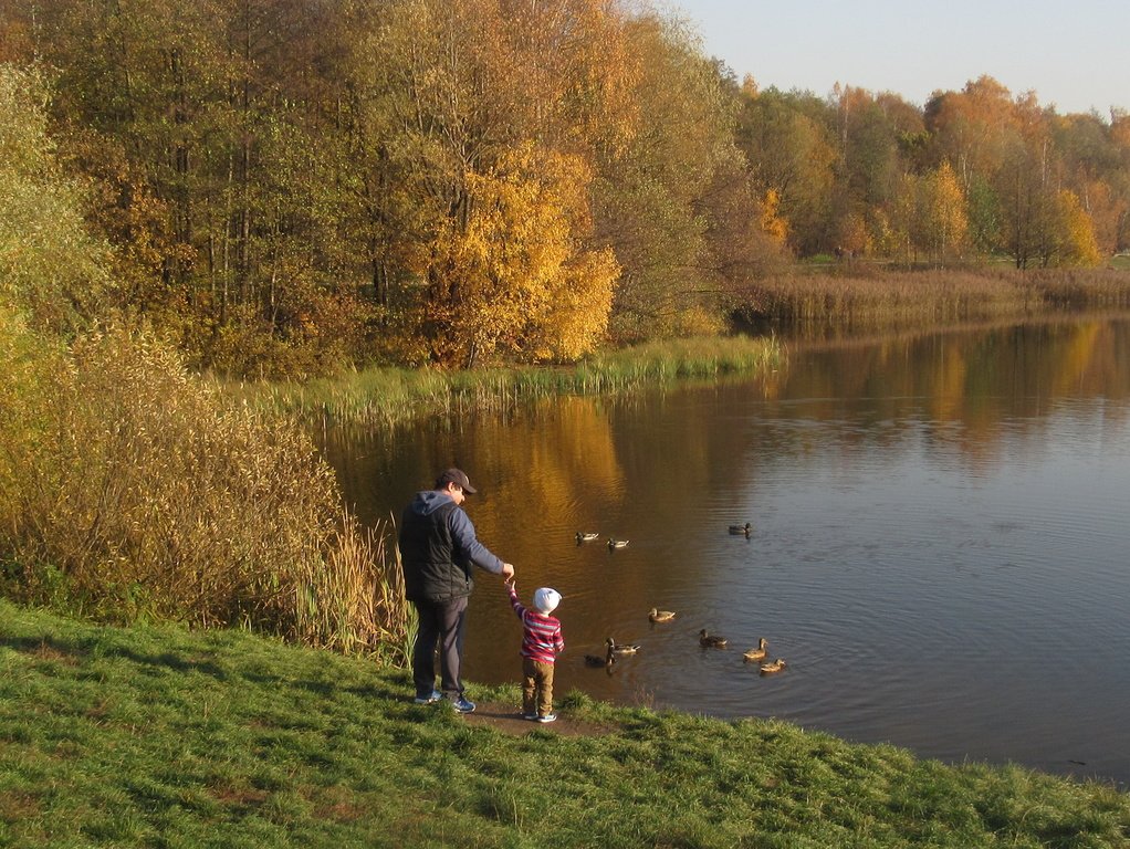 осенний пейзаж
