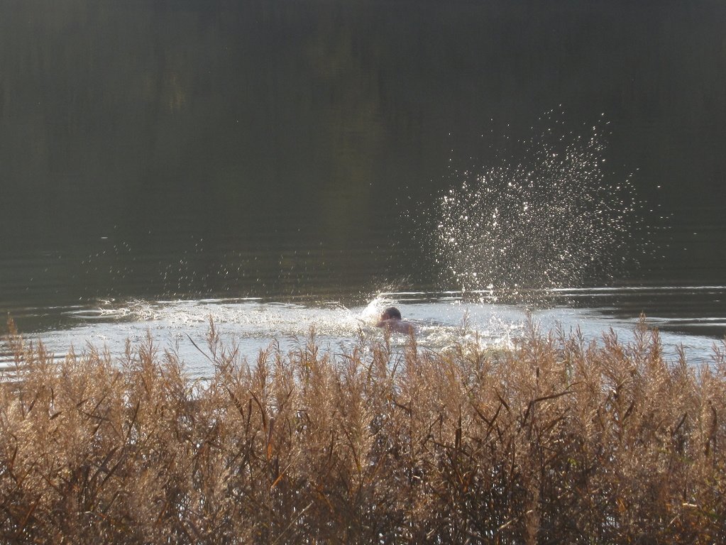 солнечные брызги октября
