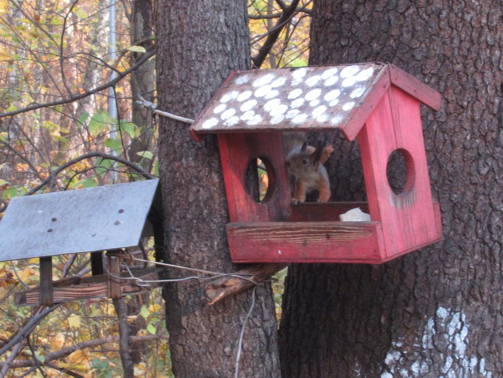 квартиры на выбор