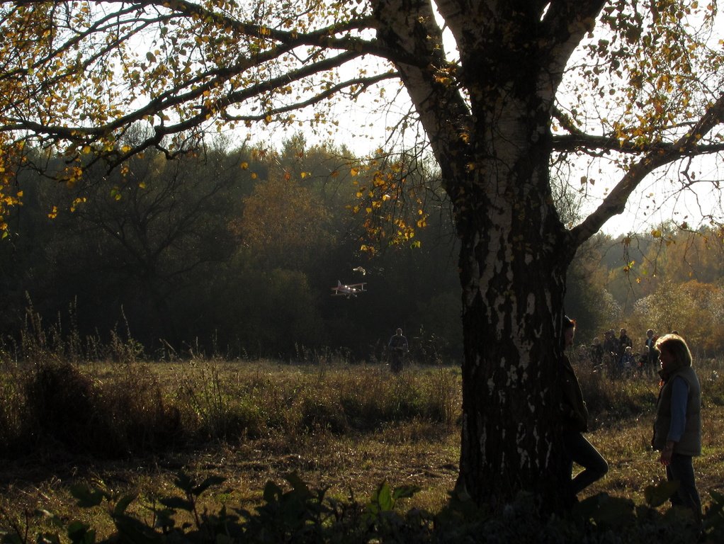 люди в осени
