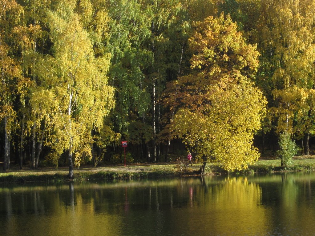 осень у пруда Красного