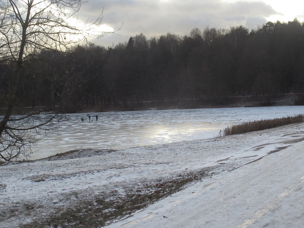 нарушители на льду