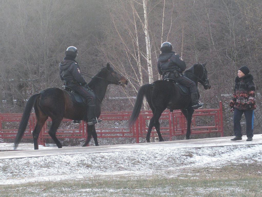 конный патруль