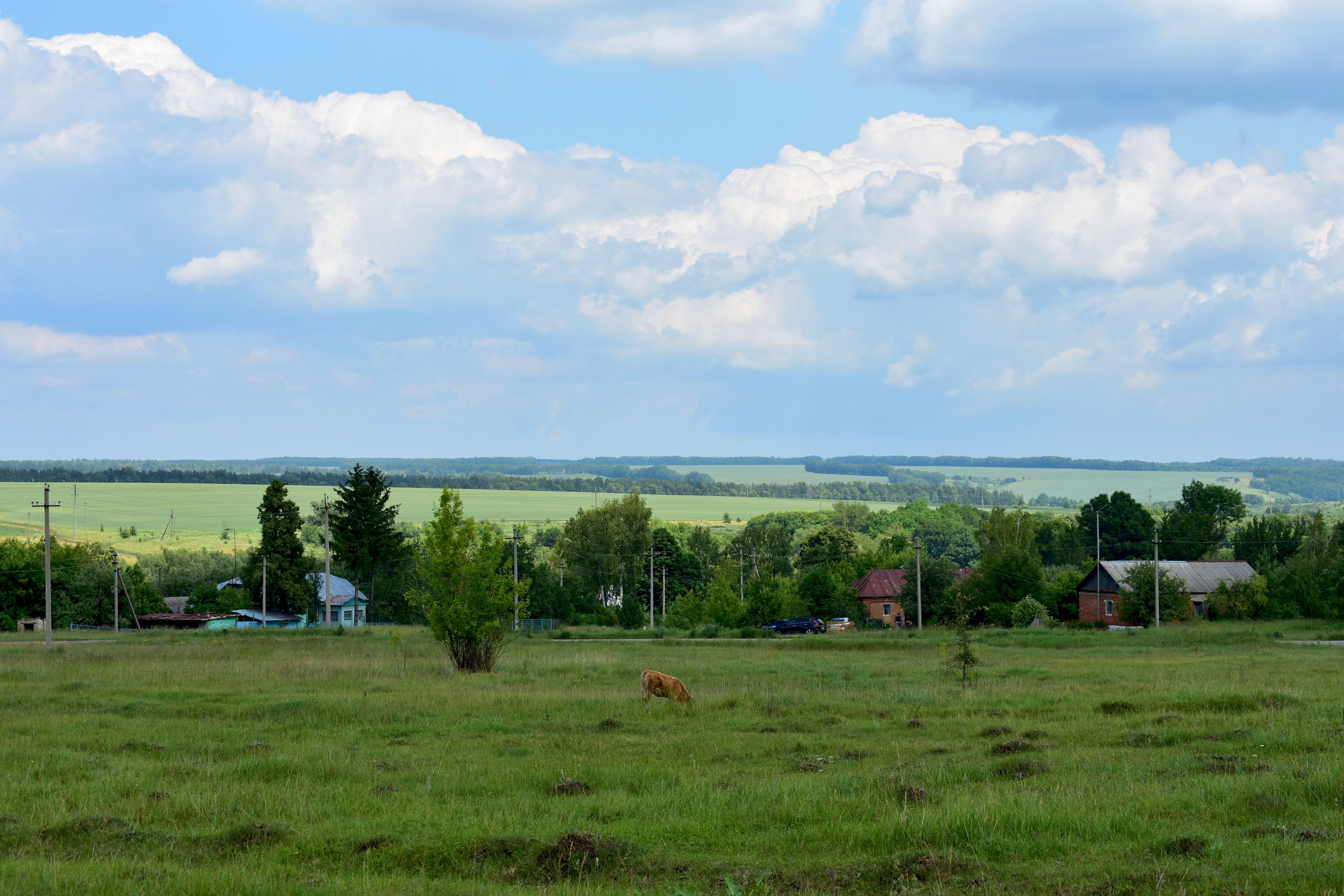 Деревенские просторы 235г село реткино фото. Деревенские просторы Рязань. Село Редькино Деревенские просторы. Деревенские просторы Рязань ресторан. Деревенские просторы клуб загородный.