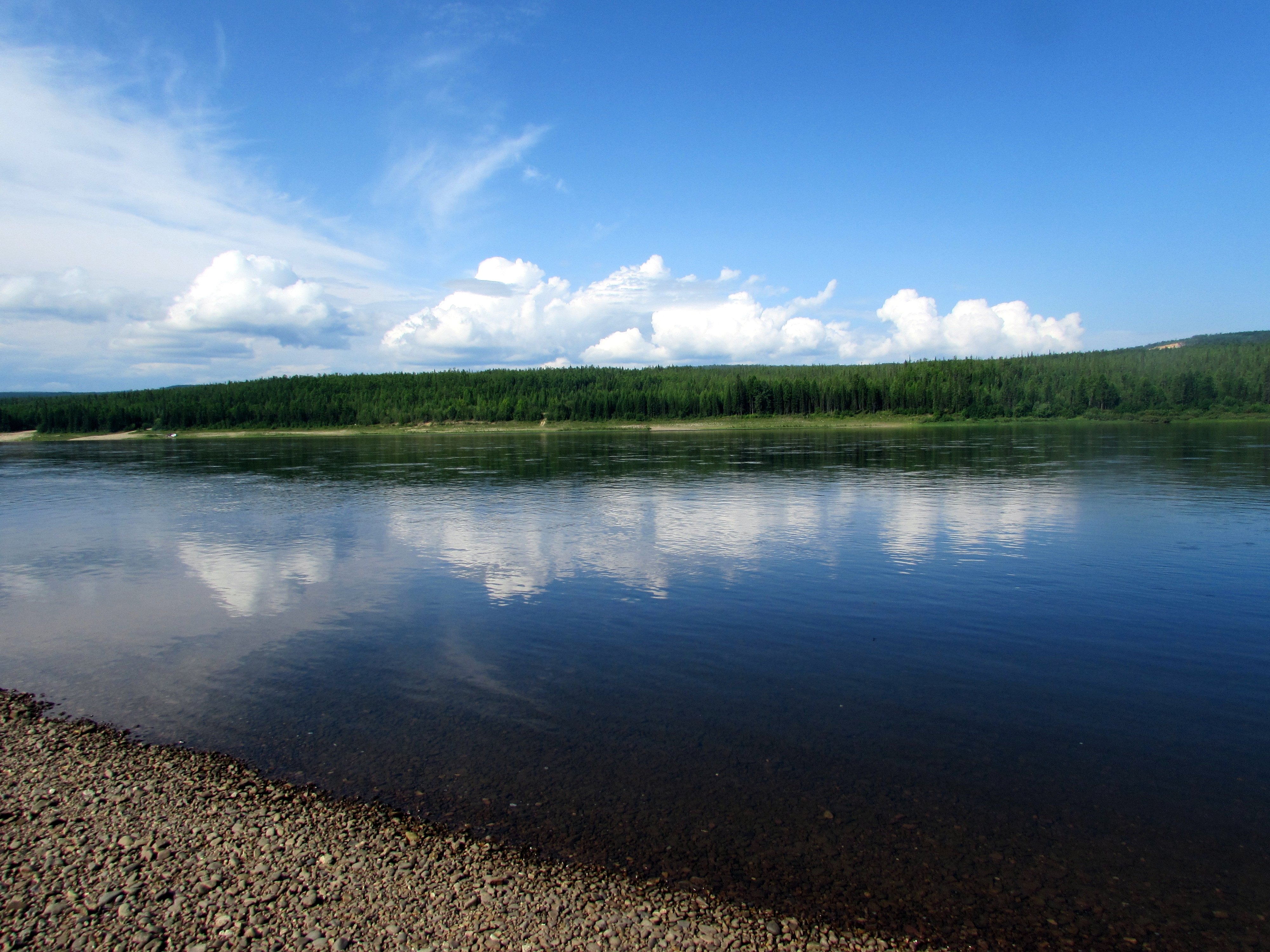 Река алдан фото