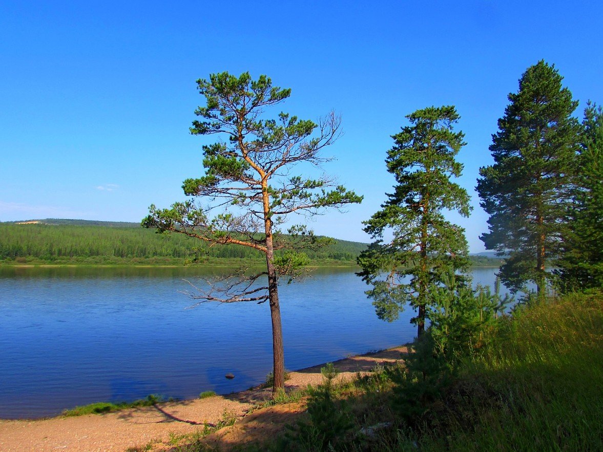 Река Алдан Фото