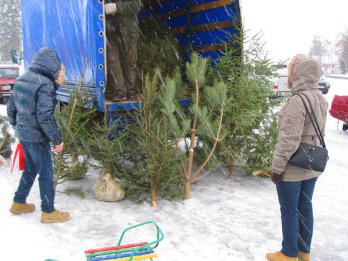 Предновогодний зеленый базарчик