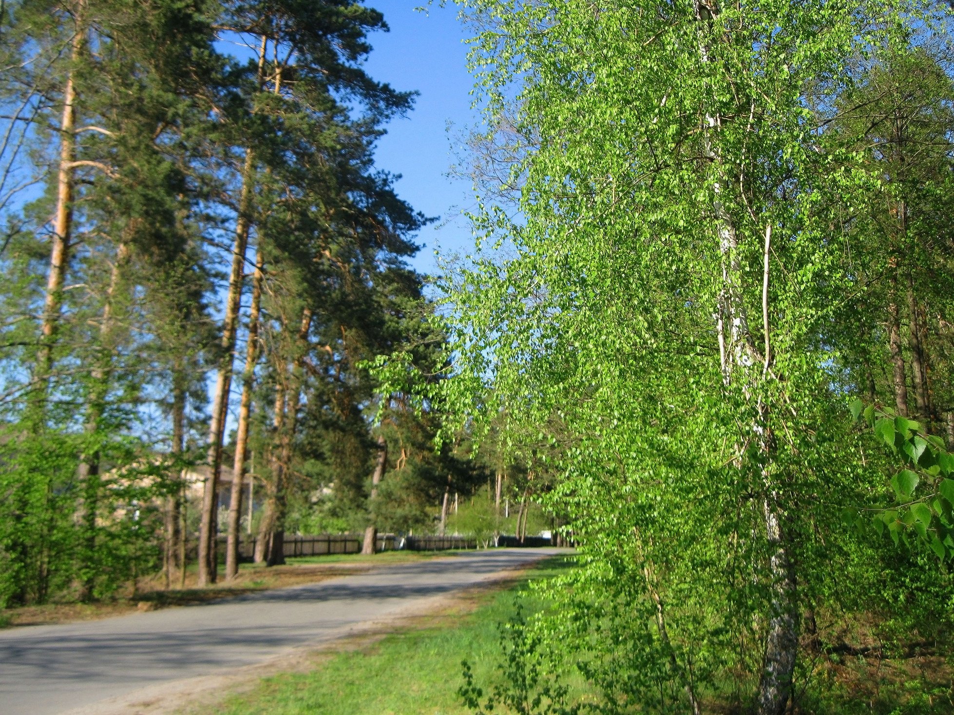 Погода в заречье речицкий