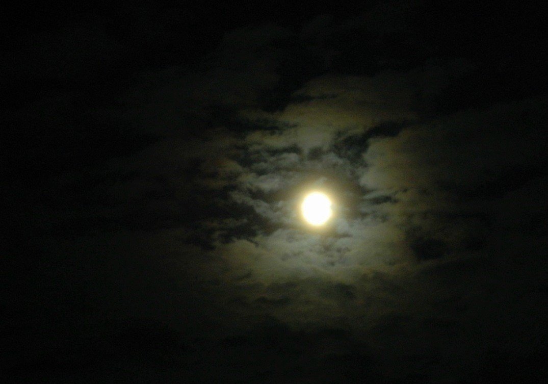 Гало вокруг Луны. Кольцо света вокруг Луны. Кольца Ньютона вокруг Луны природное явление фото. Какое животное первым облетело вокруг луны